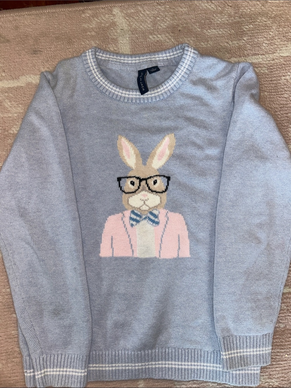 Janie & Jack Light Blue Crewneck Sweater with Bunny Graphic
